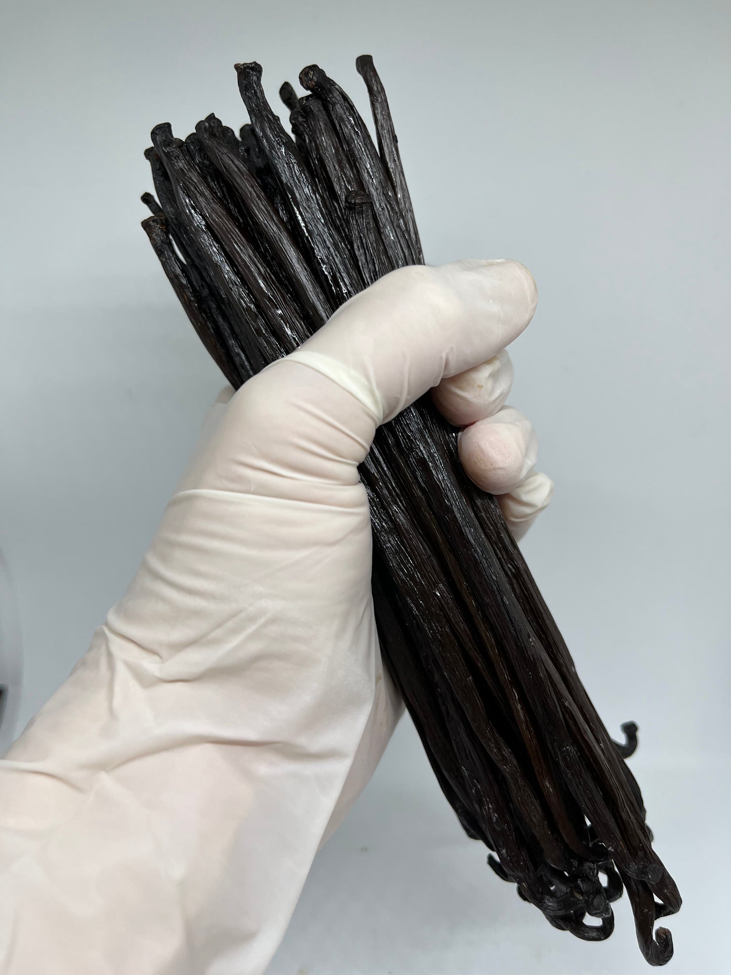 Świeże laski wanilii 1 kg