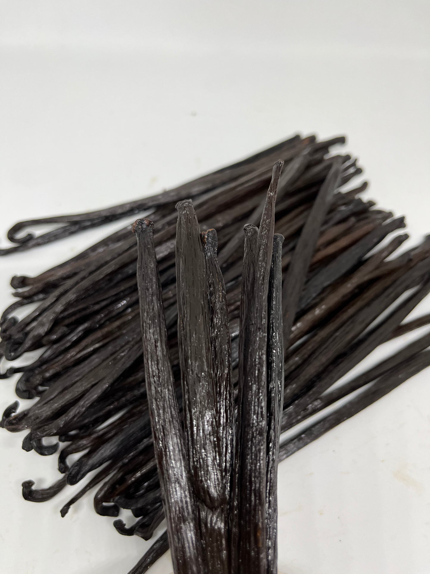 Świeże laski wanilii 1 kg